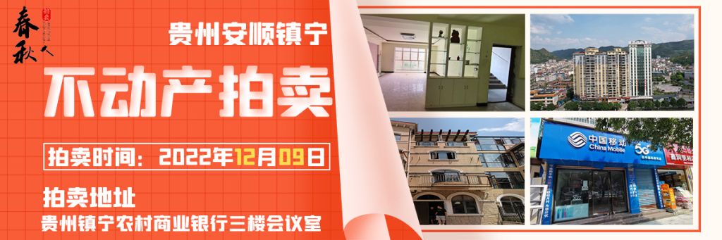 【12月09日】鎮(zhèn)寧縣商鋪、住宅、商業(yè)展位拍賣公告
